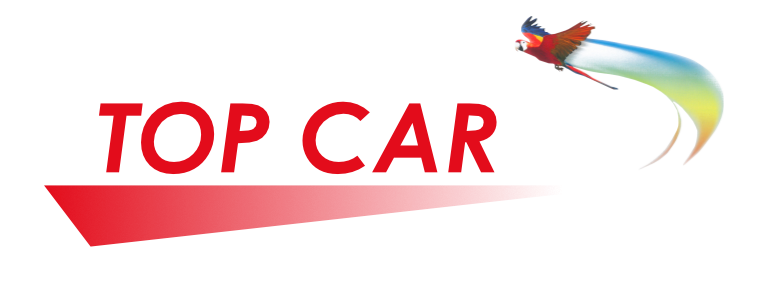 Officina specializzata TopCar Cesena